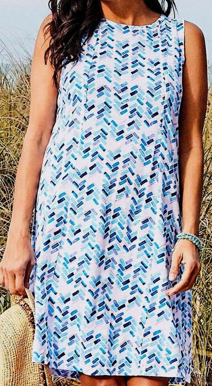 Fresh Produce USA Small Cotton Sleeveless Dress Blue Print Swing Shift Midi